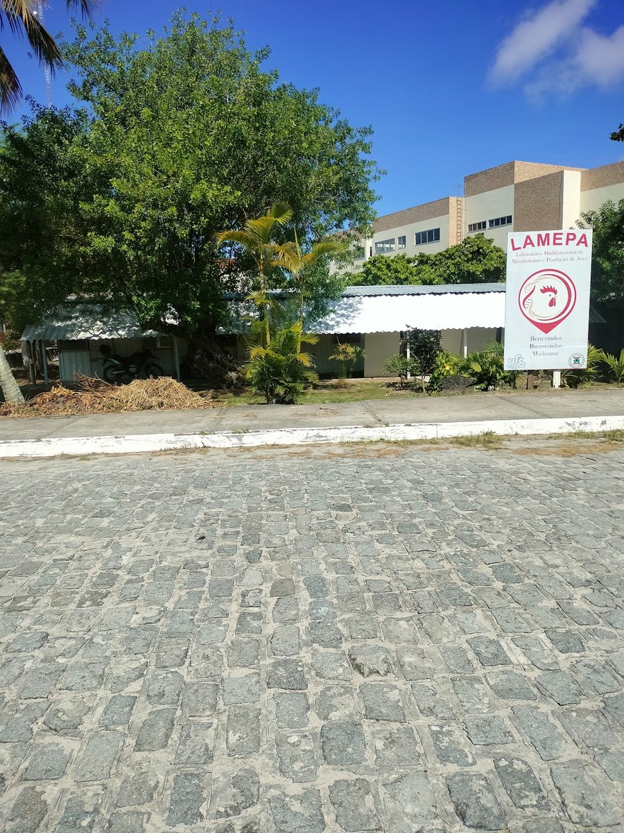 Hospital Universitário