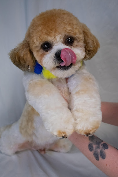 Premier Pet Services LLC