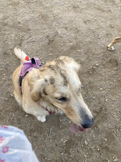 Francisville Dog Park