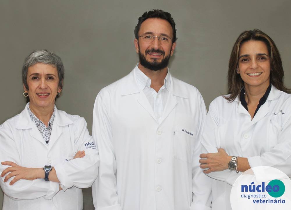 núcleo veterinário