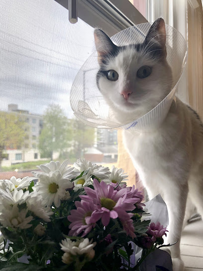 One Love Veterinary Clinic @ Chelwayne