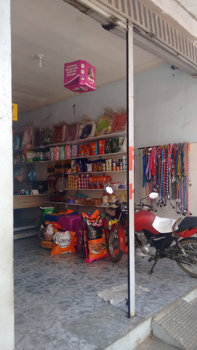 Veterinary Clinic San Francisco