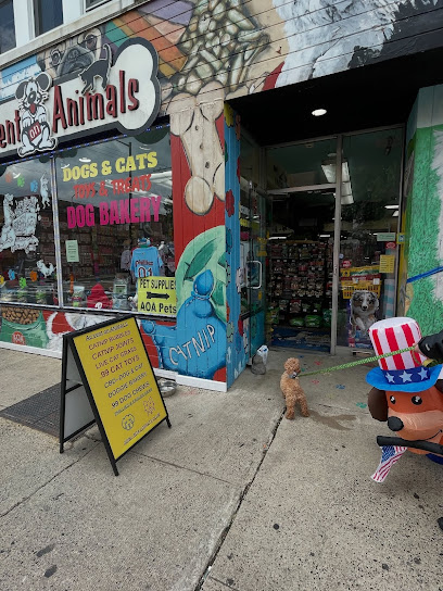 Ac'cent On ANIMALS - 804 South Street