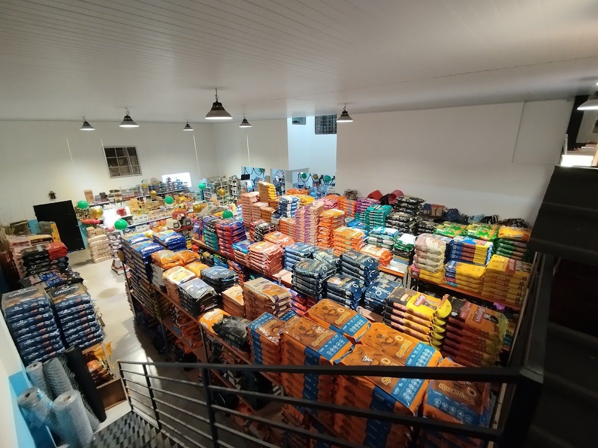 Pitucão Cães e Gatos