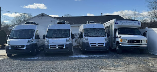 Devon's Dapper Dogs Pet Grooming