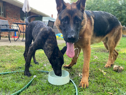 Carlos the Dog Trainer