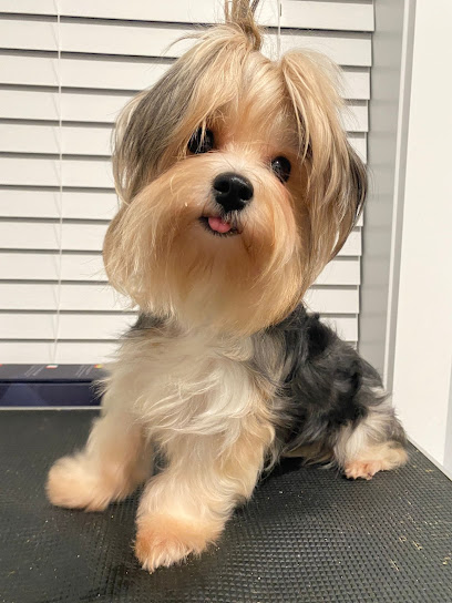 Small Paws Big Heart Rescue