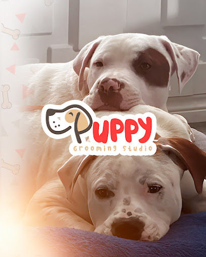 Puppy Grooming Studio