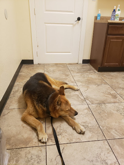 Vanguard Veterinary Clinic