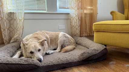 Cozy Pet Care with Morgan • Dog and Cat Sitting Boarding Housesitting Petsitting •