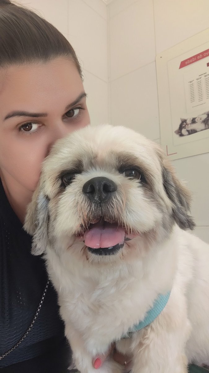 Clinica Veterinária