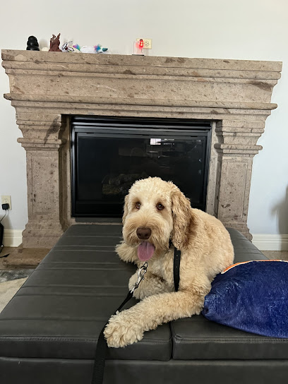 Train Them Right K9 Academy