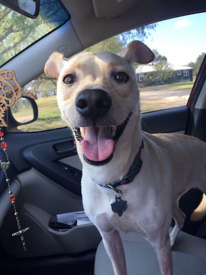 Mrs. Goodiecookie's Pet Resort