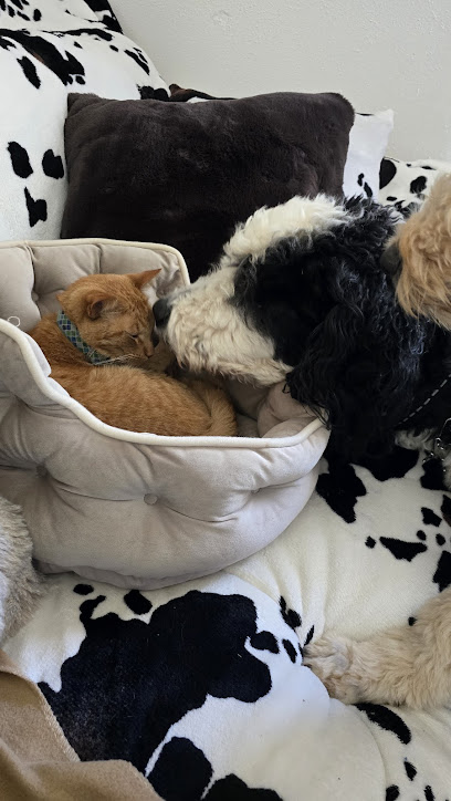 Dharma's Bed and Biscuit