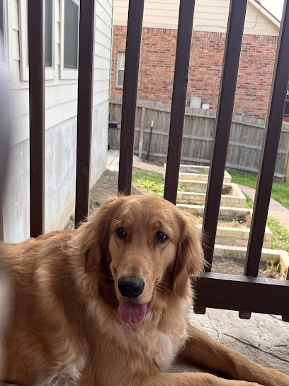 Loyal Pet Watch - Pet Sitting in Stone Oak/Bulverde