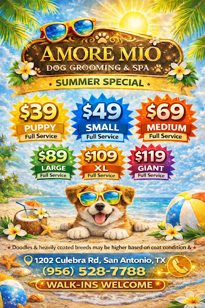 Amore mío Dog Grooming