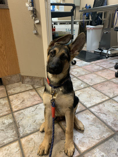 A Pet's Choice Veterinary Care