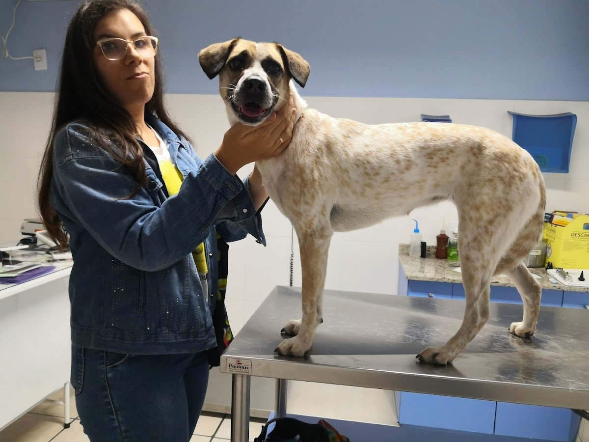 Clínica Veterinária Top Dog