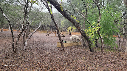 Phil Hardberger Park - Dog park