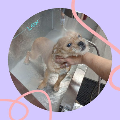 Pe Pe Le Pew Pet Grooming