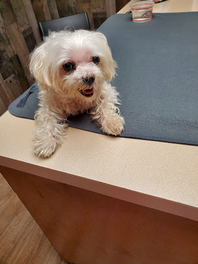 Leon Valley Veterinary Hospital