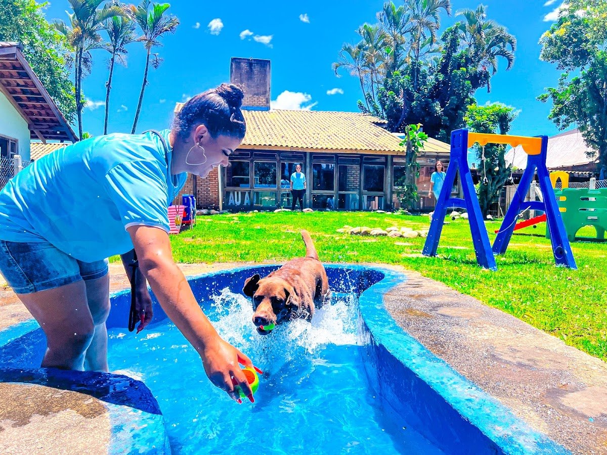 Ana Lautert Centro Canino