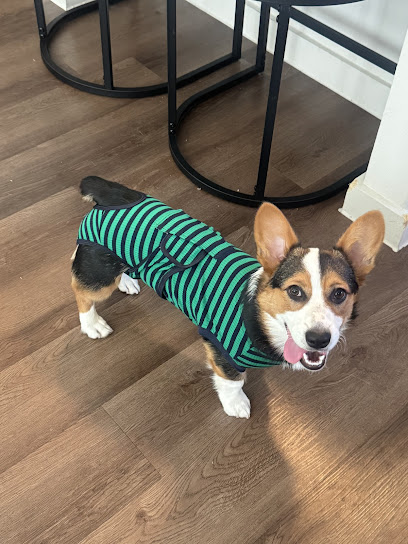 Boerne Stage Veterinary Clinic