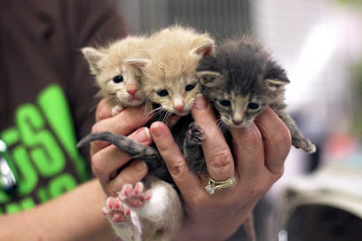 San Antonio Pets Alive! Medical Clinic