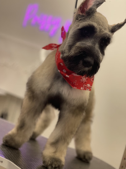 Prissy Pooch Pet Grooming And Day Spa