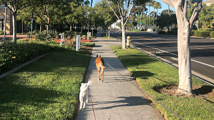 Four Paws Down Dog Boarding