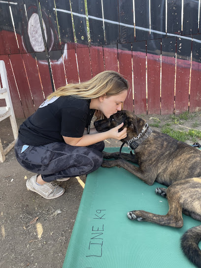 In Line K9 - Dog Training