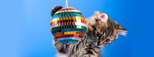 Have A Ball Pet Sitting & Dog Walking