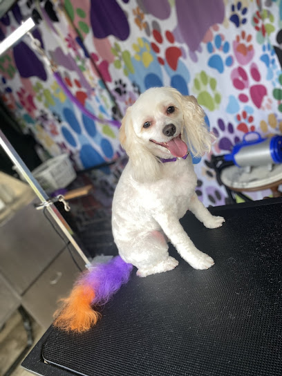 Taylor-Made pet groomery