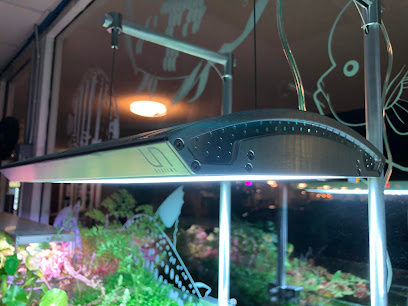 Aquascape Supply Co.