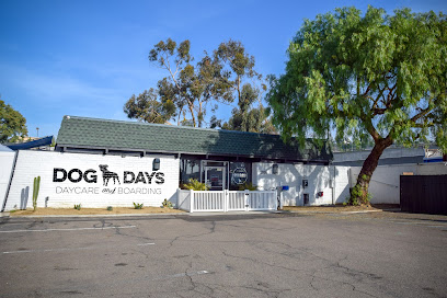 Dog Days San Diego