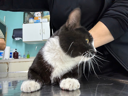 Centro Médico Veterinario