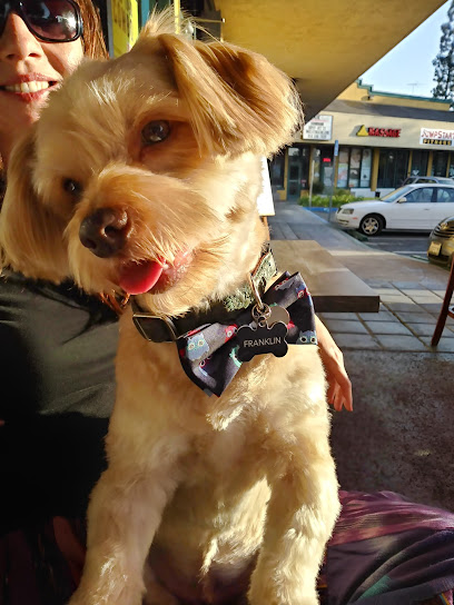 Dog Gone Great Grooming & Nails