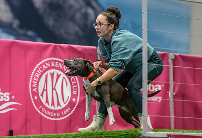 Carpe Diem Dog Training