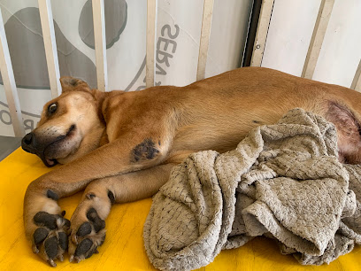 Servicio Veterinario California