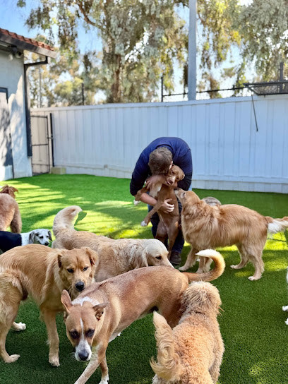Paw Commons Pet Resort & Training Center - Hillcrest