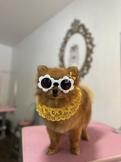 Guau Guau Eves Vera San Diego