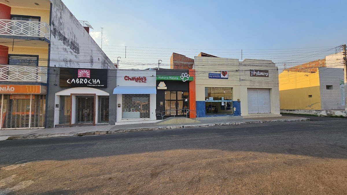 Hakuna Matata Pet Store