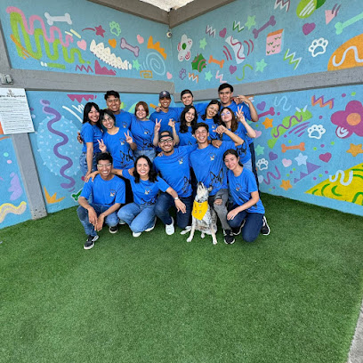 PETCLUB MX Suc 20 Nov (Hotel/ Estetica Canina/ Consultorio Veterinario)
