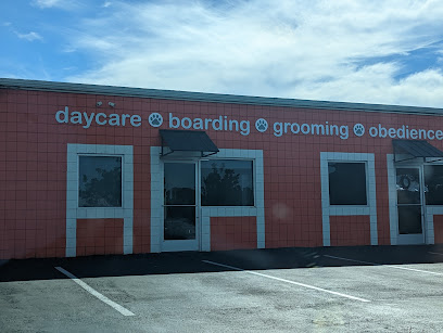 Camp Run-A-Mutt, Sorrento Valley