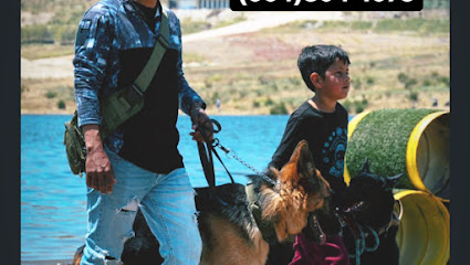 K-9 VILLASOL ADIESTRAMIENTO CANINO