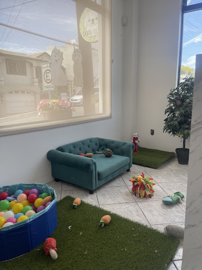 Guau Guau Eves Vera Tijuana