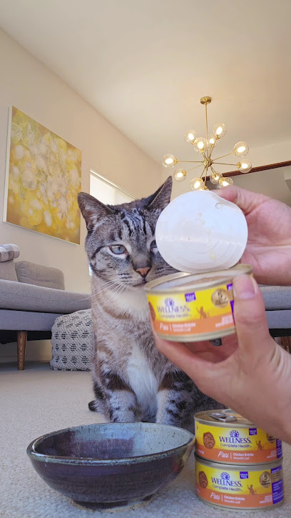 Mission Hills Cat Care