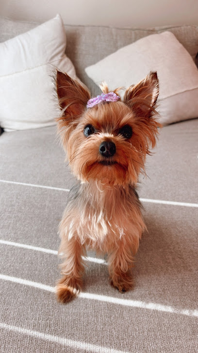 VETERINARY MEDICAL CENTER