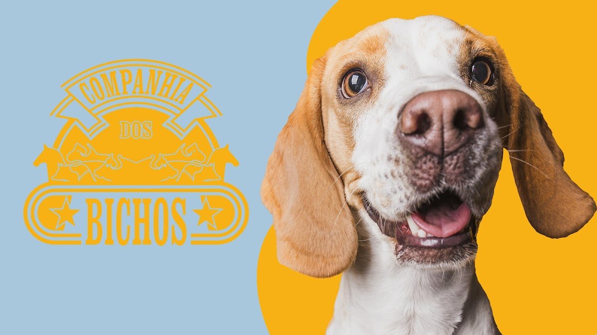 Companhia Dos Bichos
