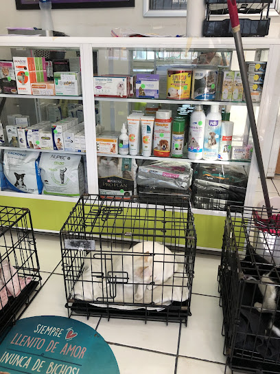 Veterinaria Vet Life